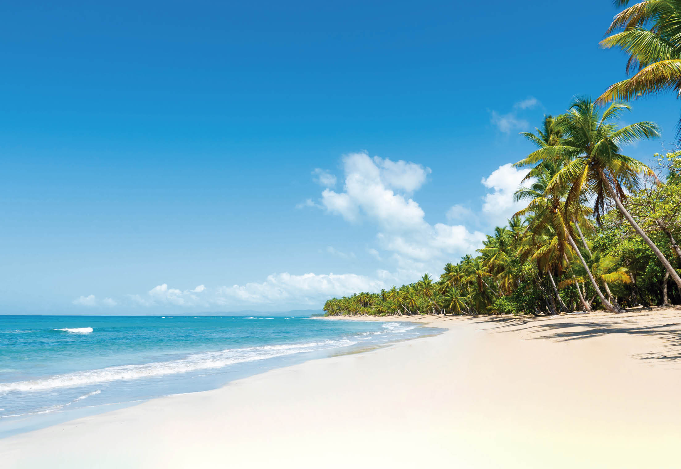 Tropical beach amazing view. Clear white sand beach in summer day. Waves of blue sea break on sunny beach. Cuba palms beach landscape background.