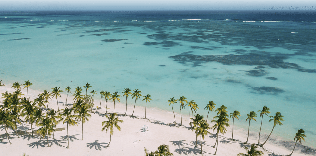 Wedding white arch among palm trees. Palm trees,turquoise ocean, white sand.