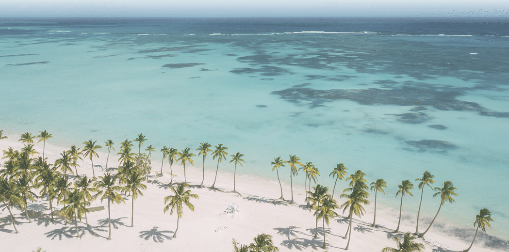 Wedding white arch among palm trees. Palm trees,turquoise ocean, white sand.