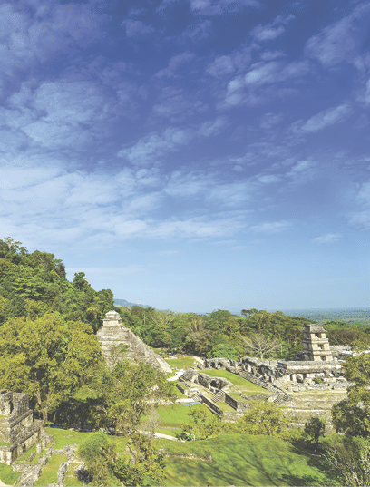 A wide view of Palenque featuring the main palace and several temples against a beautiful blue sky
